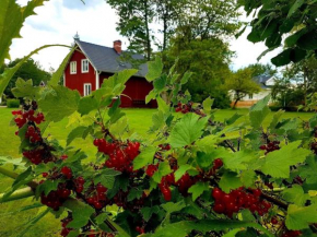 Gemütliches Ferienhaus in Uppvidinge mit Garten, Grill und Veranda